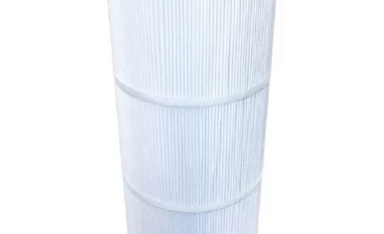 Cartouche filtrante pour SWIMCLEAR C150SE